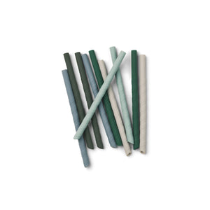 綠色環保矽膠吸管套裝(10件裝)